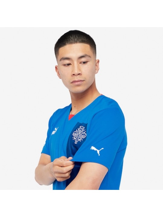 Camiseta Islandia Primera Equipación 2022